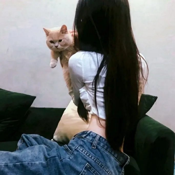 越狱第一季